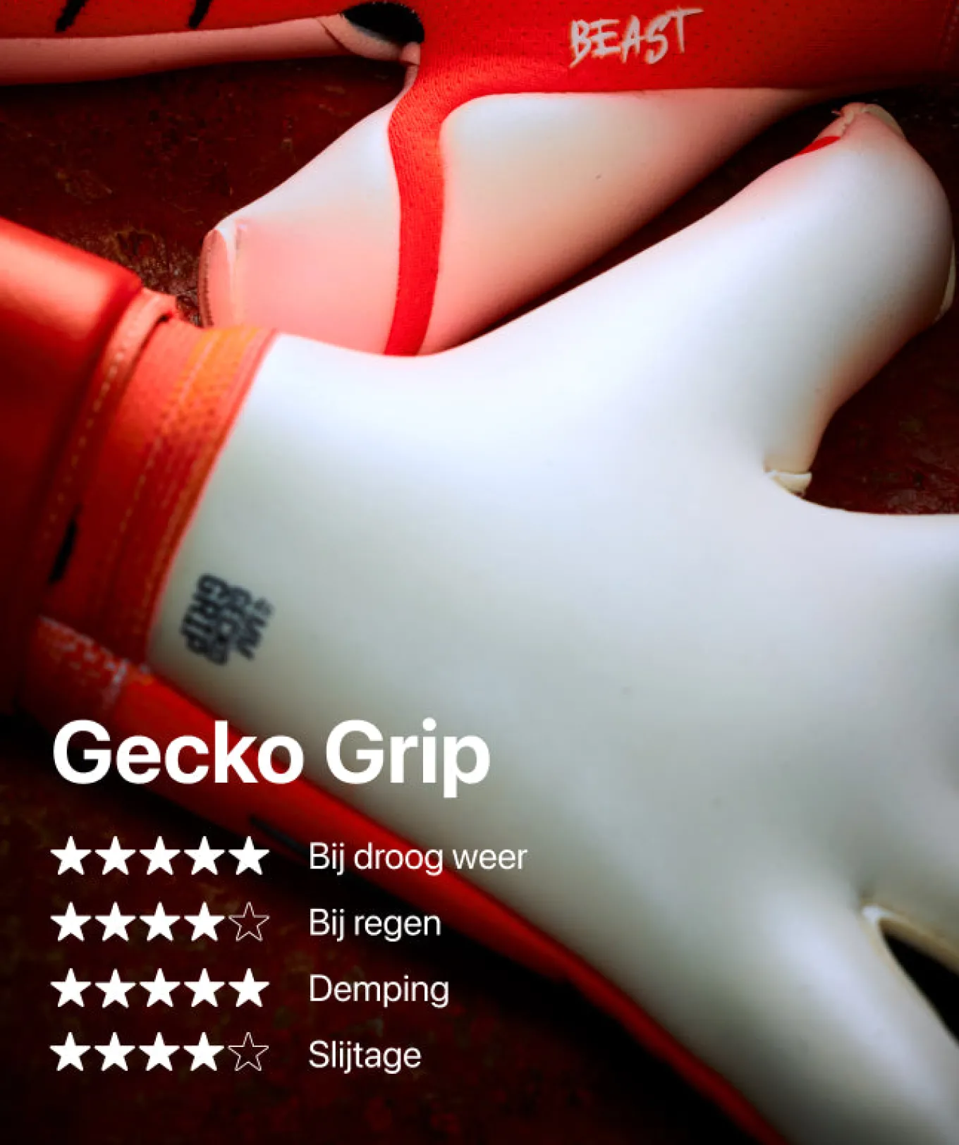 T1TAN Shocking Beast 3.0 Sale