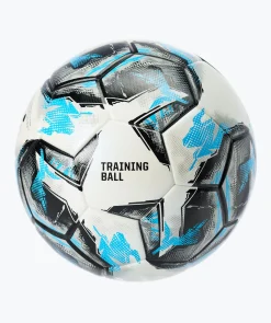 T1TAN Trainingsbal Total Control Sale